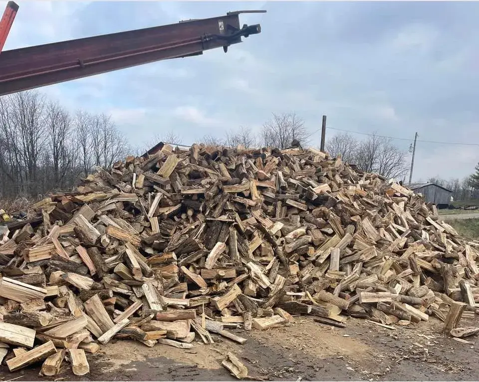 Stacked seasoned firewood